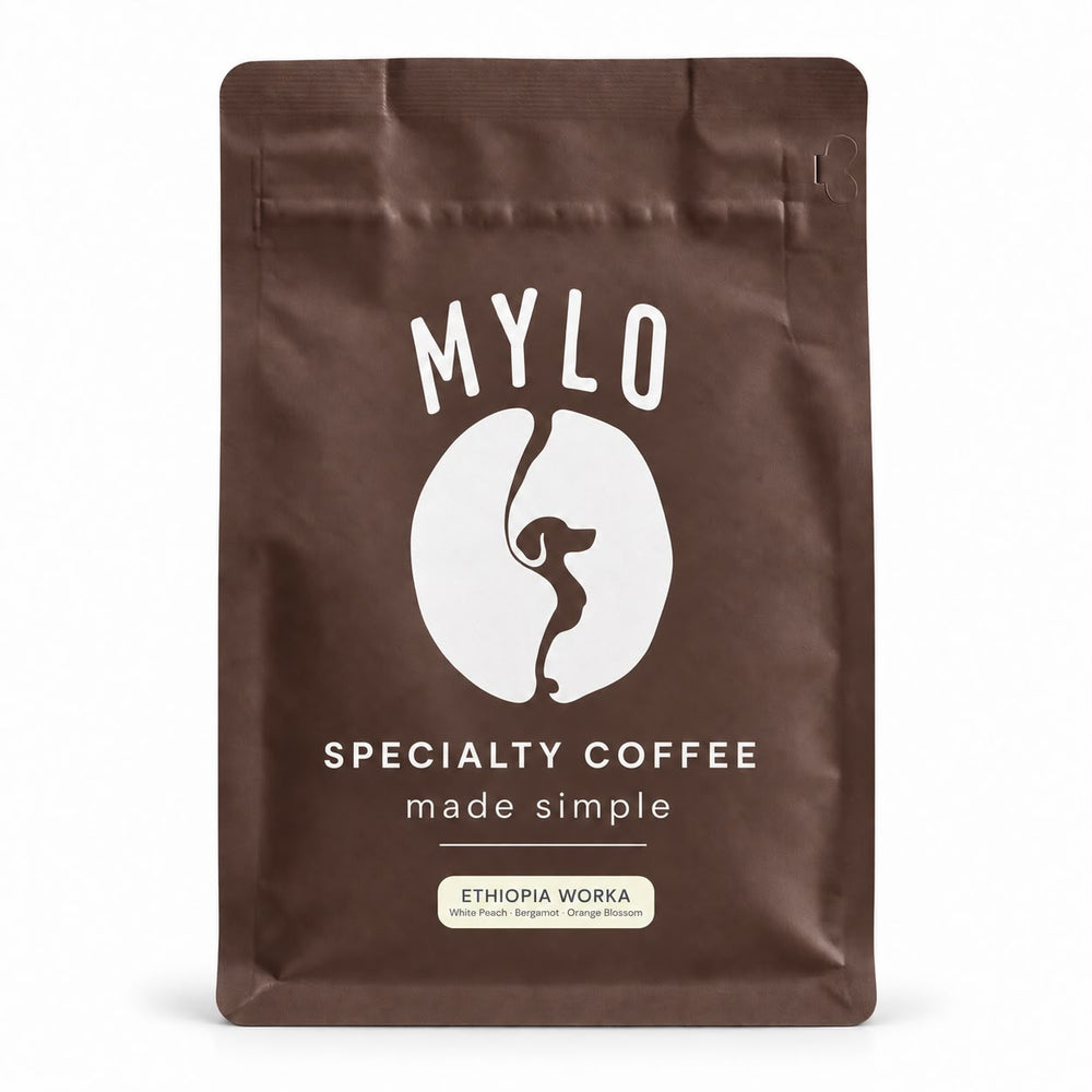 Ethiopia Worka