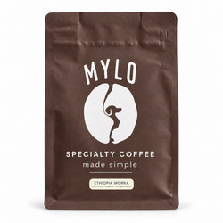 Ethiopia Worka